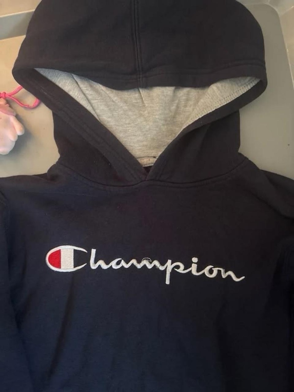 Champion Navy Pullover Hoodie with Script Logo